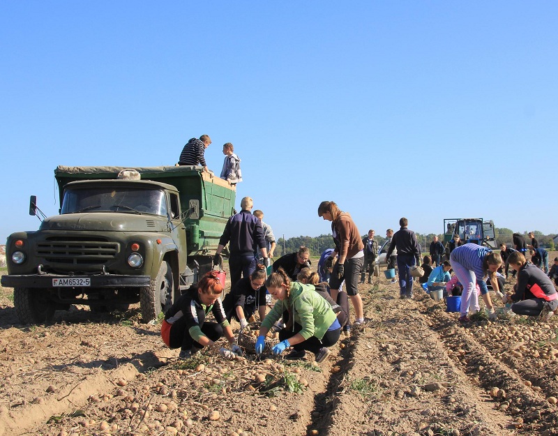 Сельское хозяйство в ДНР