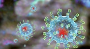 Вирус-мутант коронавирус