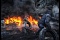 Радикалы сожгут Украину