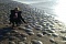 Побережье Азовского моря усеяно медузами