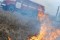 МЧС ДНР: пожар площадью 3 гектара начался после попадания снаряда ВСУ
