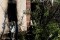 Обстрел ВСУ: в результате обстрела в Зайцево повреждены два дома